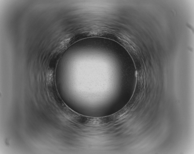 X0000096460127200802071842