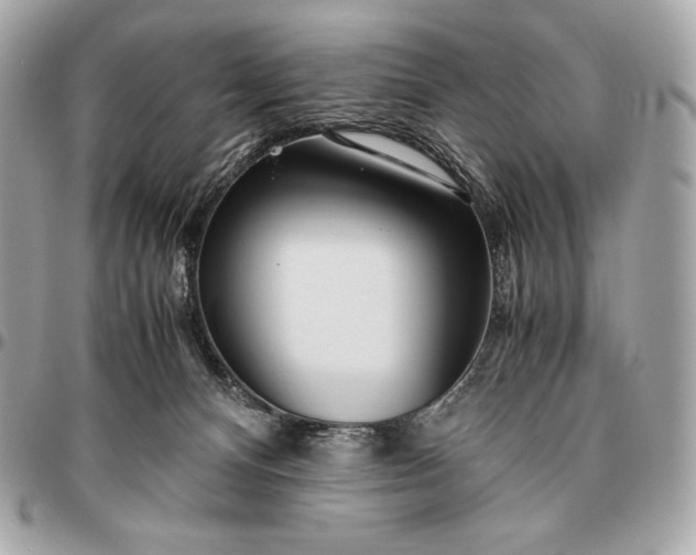 X0000096460128200802071842