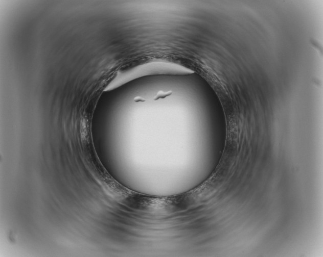 X0000096460130200802071842