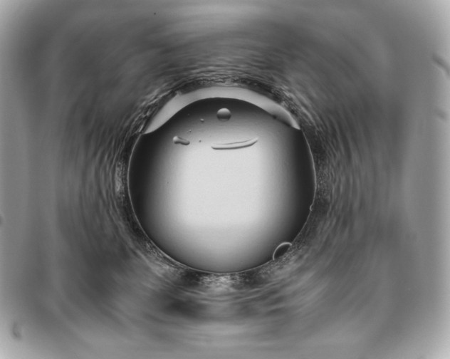 X0000096460131200802071842