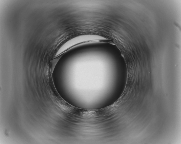 X0000096460132200802071842