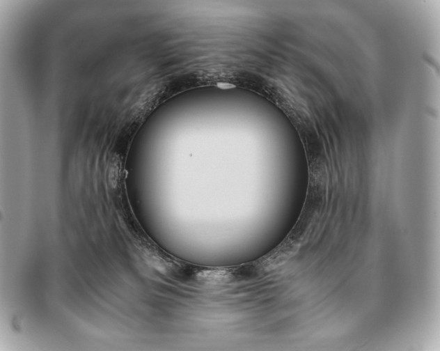 X0000096460133200802071842