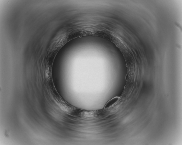 X0000096460134200802071842