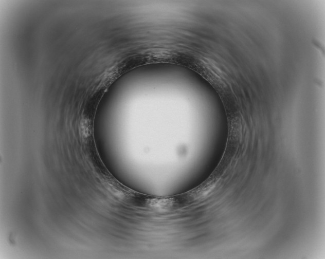 X0000096460135200802071842