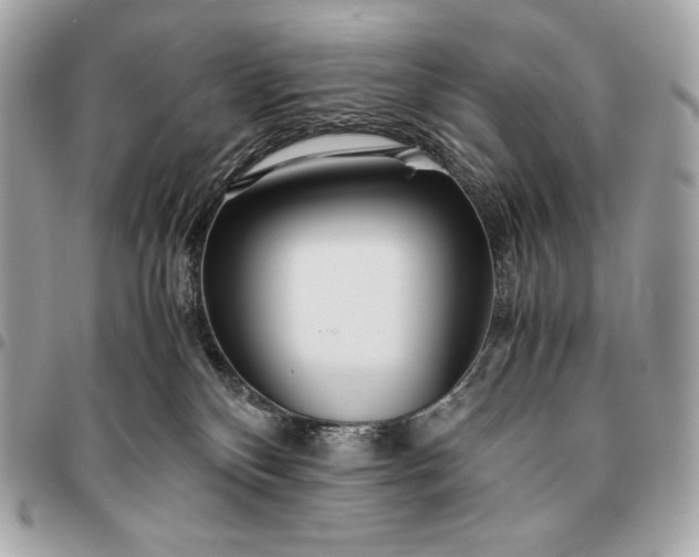 X0000096460136200802071842