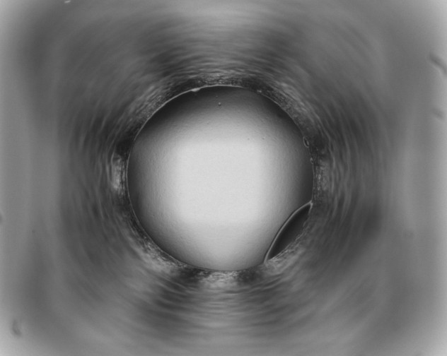 X0000096460138200802071842