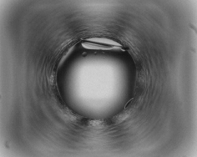X0000096460139200802071842