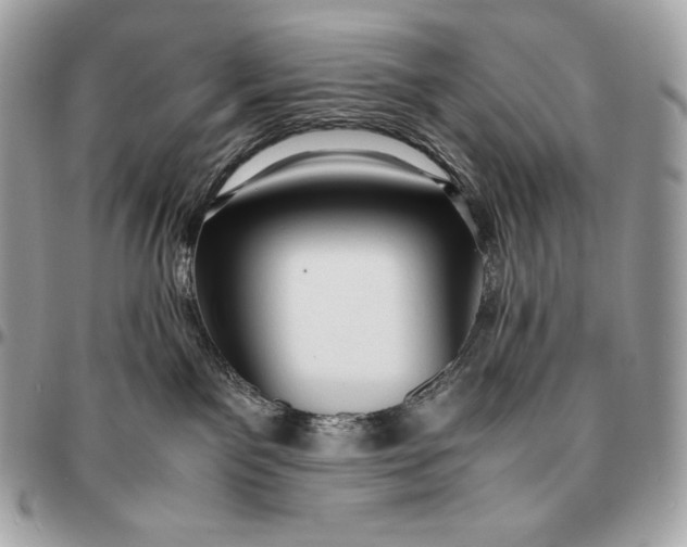 X0000096460141200802071842