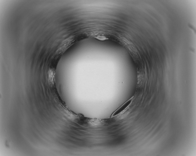 X0000096460142200802071842