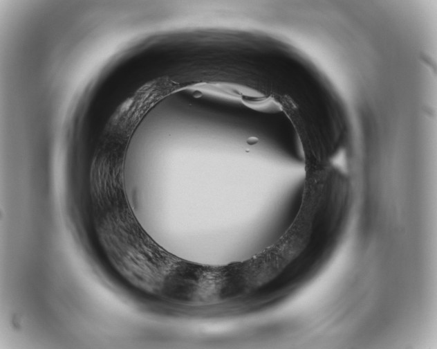 X0000096460143200802071842