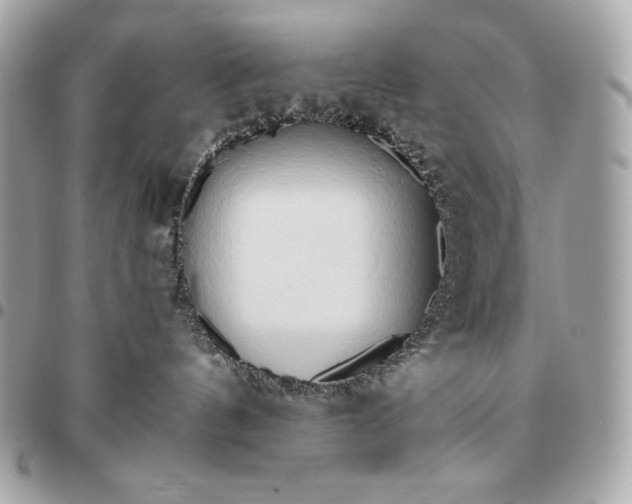 X0000096460144200802071842