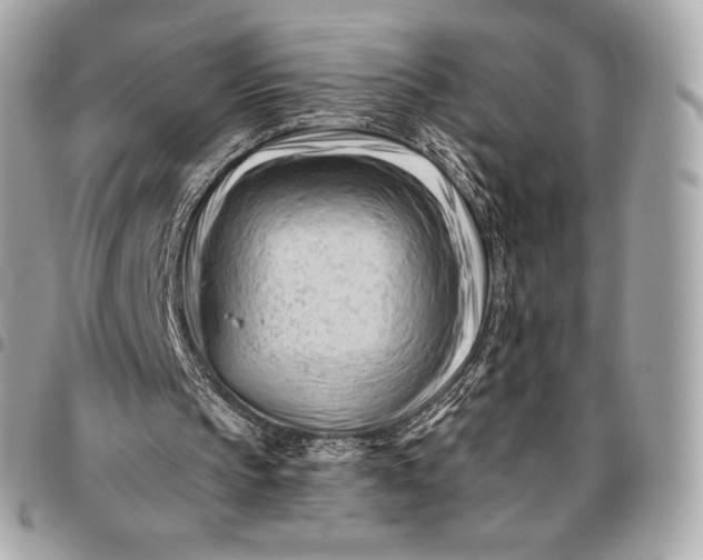 X0000096460145200802071841