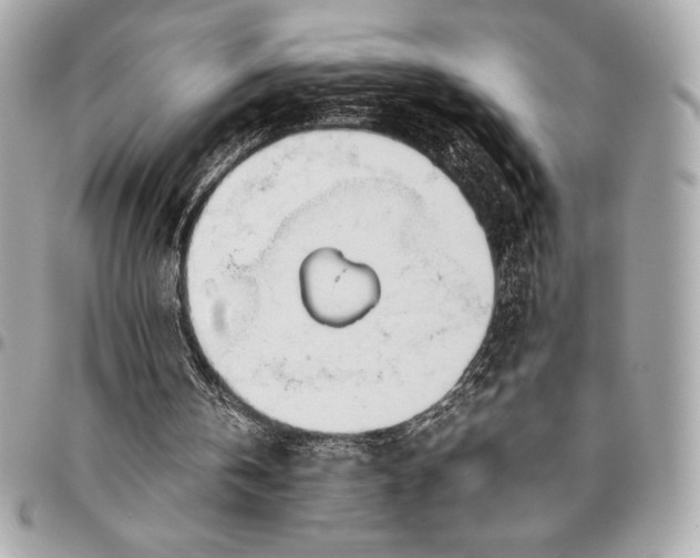 X0000096460146200802071841