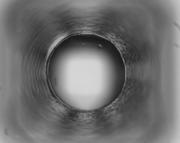 X0000096460147200802071841