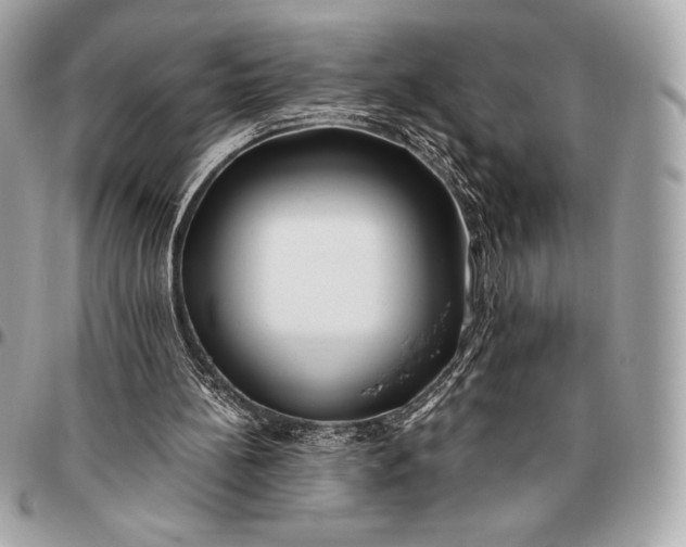 X0000096460148200802071841