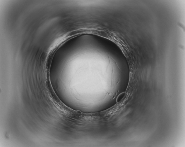 X0000096460149200802071841