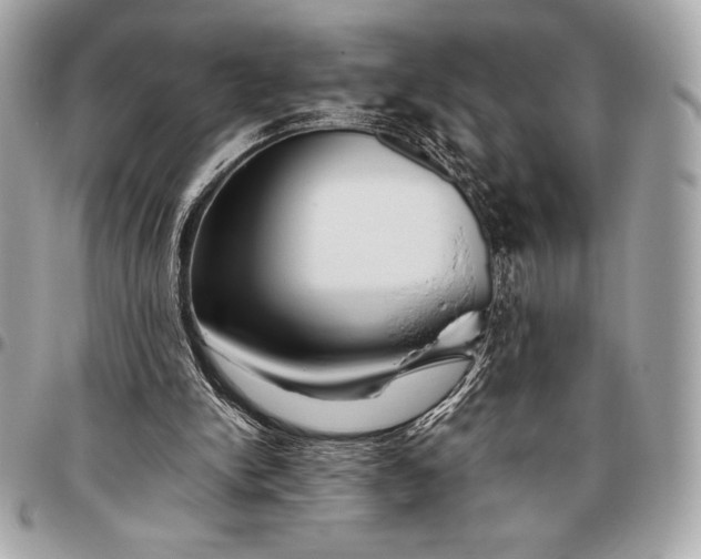 X0000096460150200802071841