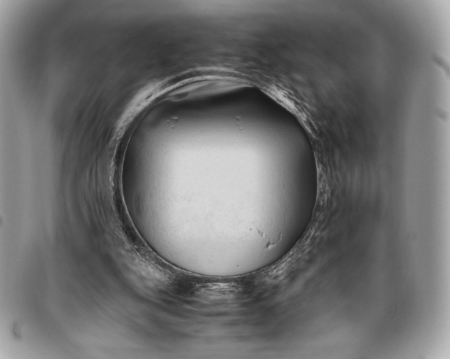 X0000096460151200802071841