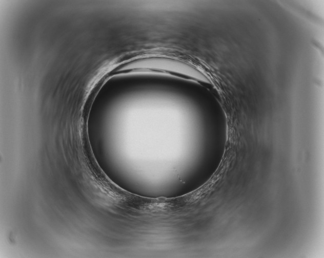 X0000096460152200802071841