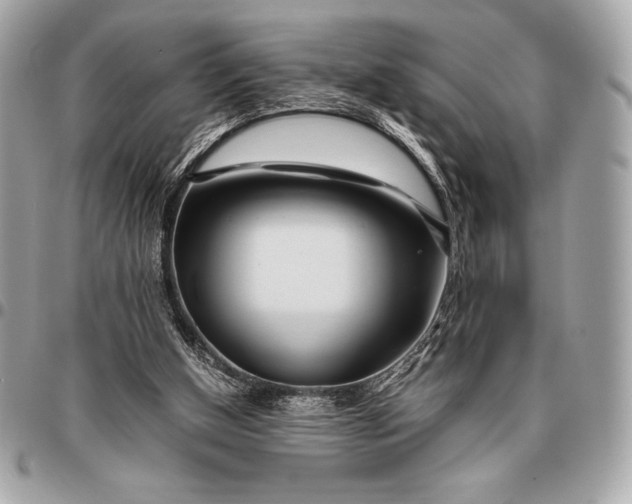 X0000096460154200802071841