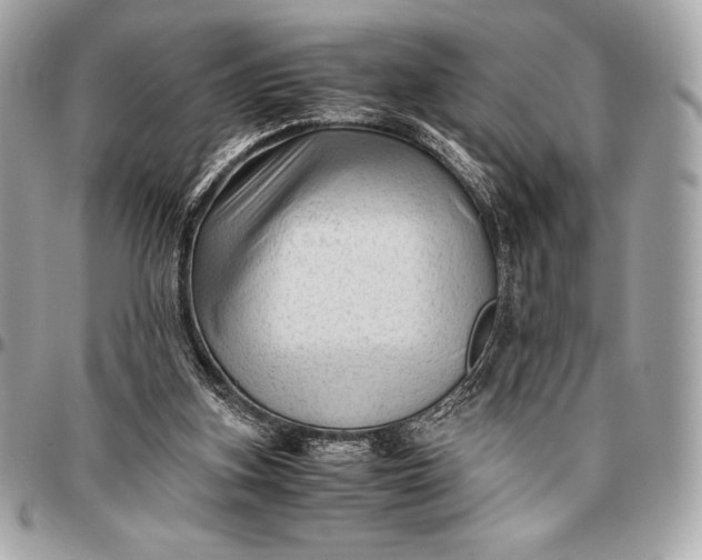 X0000096460155200802071841
