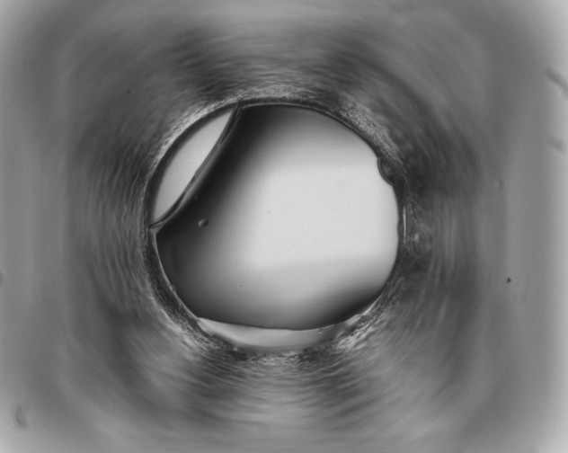 X0000096460156200802071841