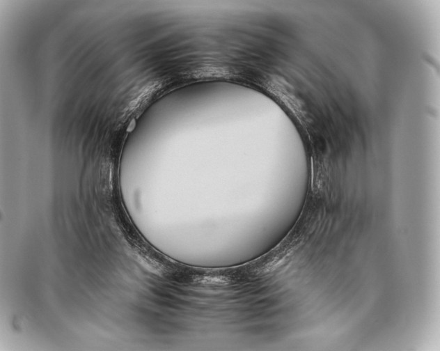 X0000096460157200802071841