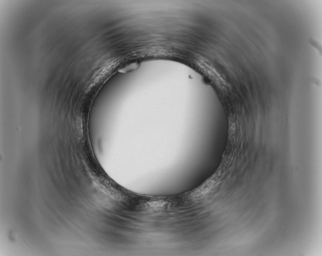 X0000096460158200802071842