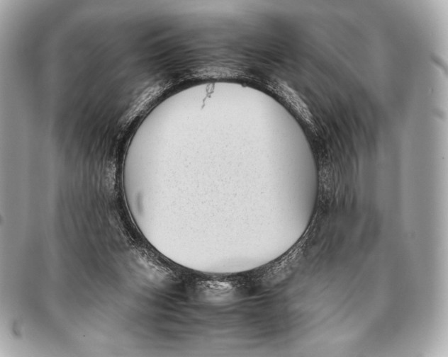 X0000096460159200802071842