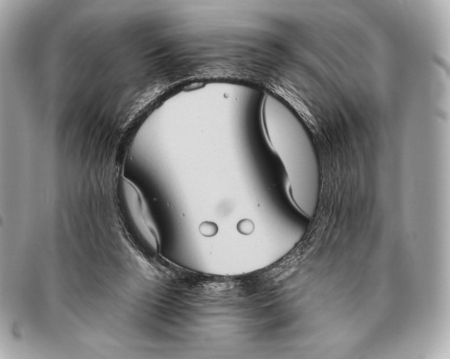 X0000096460160200802071842
