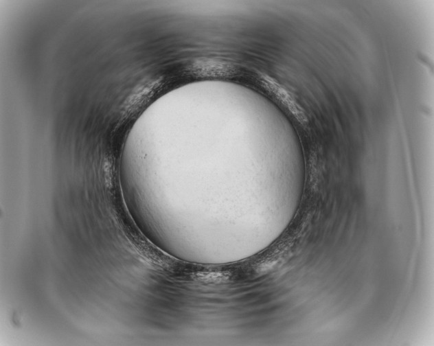 X0000096460161200802071842