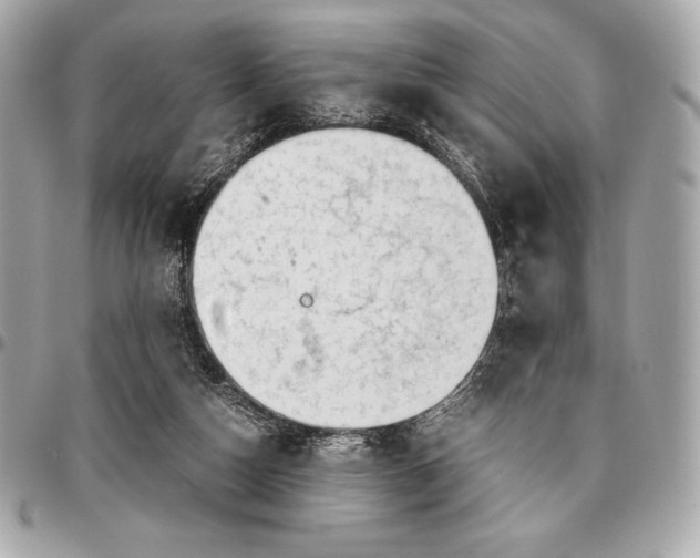 X0000096460162200802071842