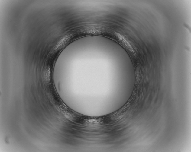 X0000096460163200802071842
