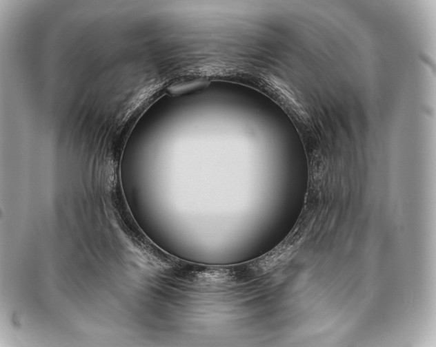 X0000096460164200802071842