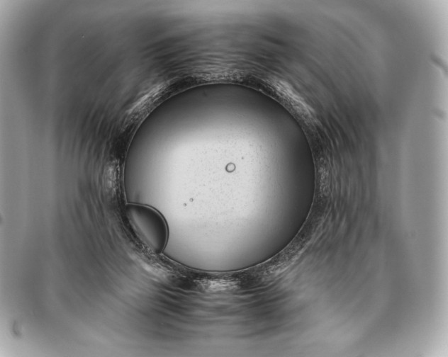 X0000096460165200802071842