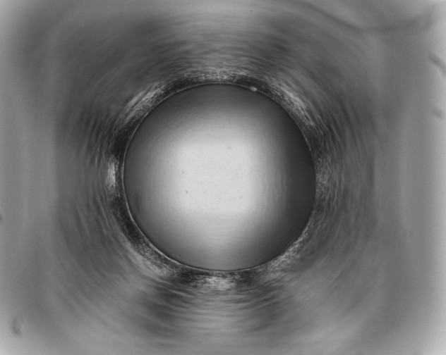 X0000096460166200802071842