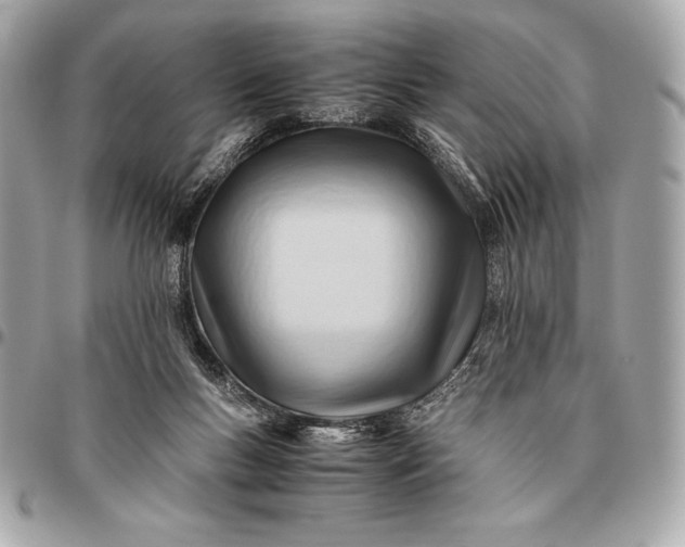 X0000096460167200802071842