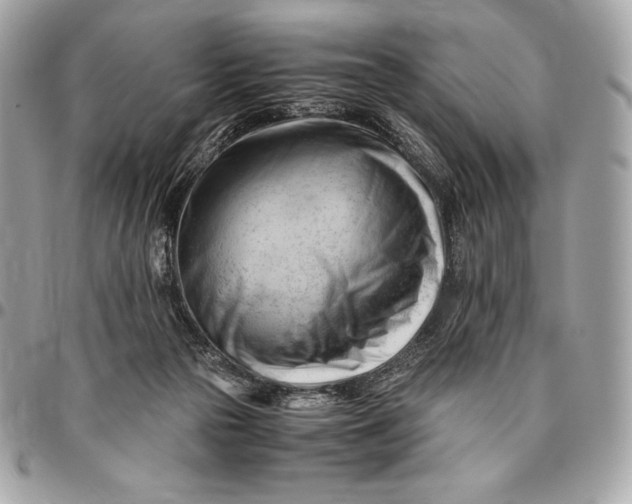 X0000096460169200802071842