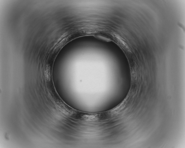 X0000096460170200802071842