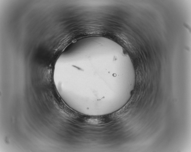 X0000096460171200802071842