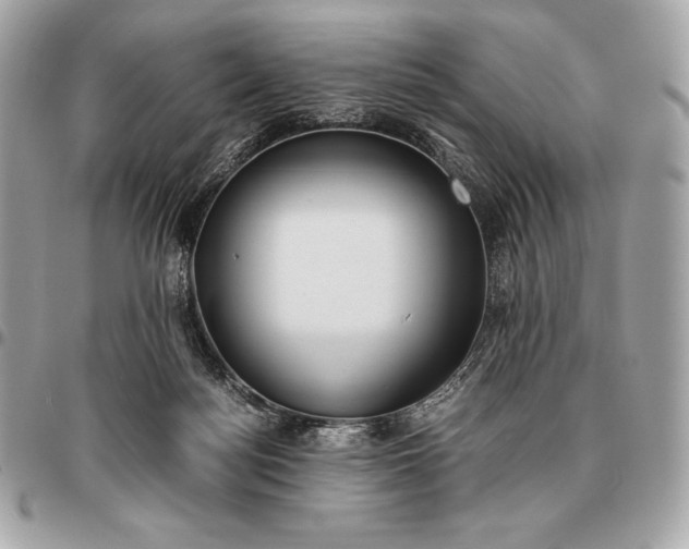 X0000096460172200802071842