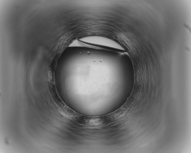 X0000096460173200802071842