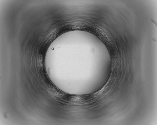 X0000096460174200802071842