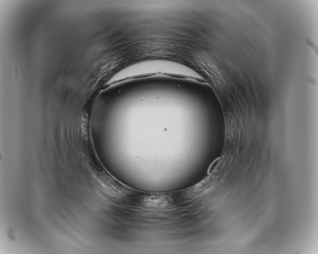 X0000096460175200802071842