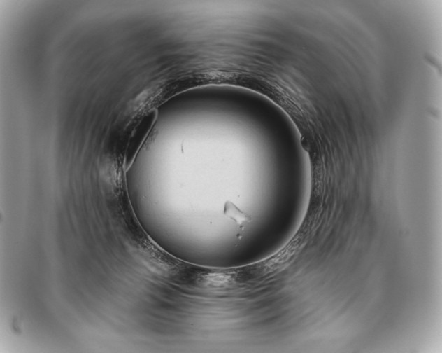 X0000096460176200802071842