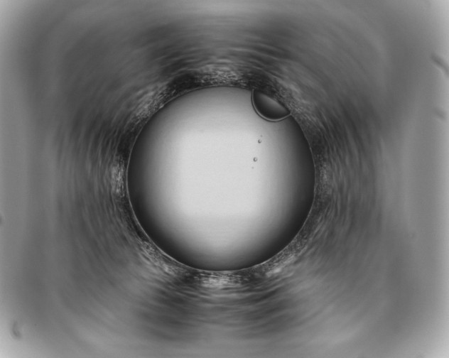 X0000096460177200802071842