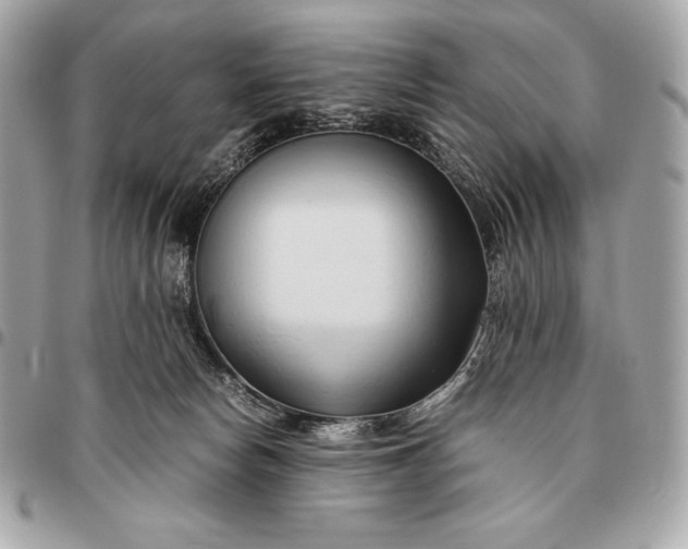 X0000096460178200802071842
