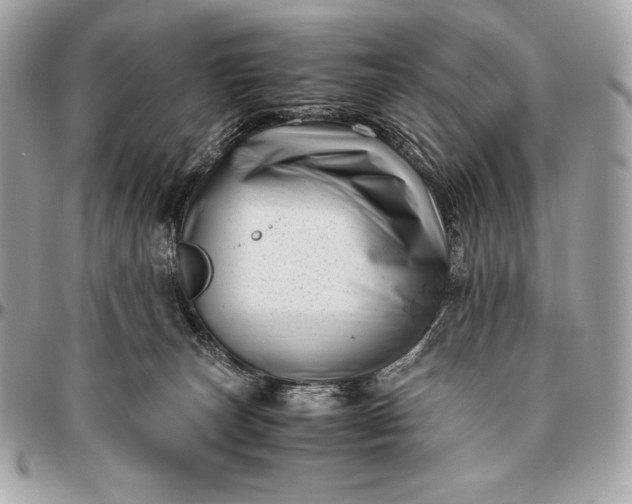 X0000096460179200802071842