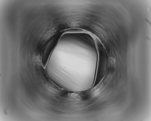 X0000096460180200802071842