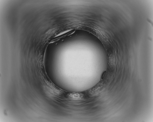 X0000096460181200802071842